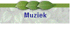 Muziek