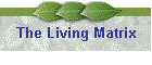 The Living Matrix